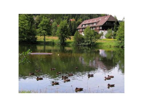 Herrischried Maison | Comfortable holiday residence on the lake