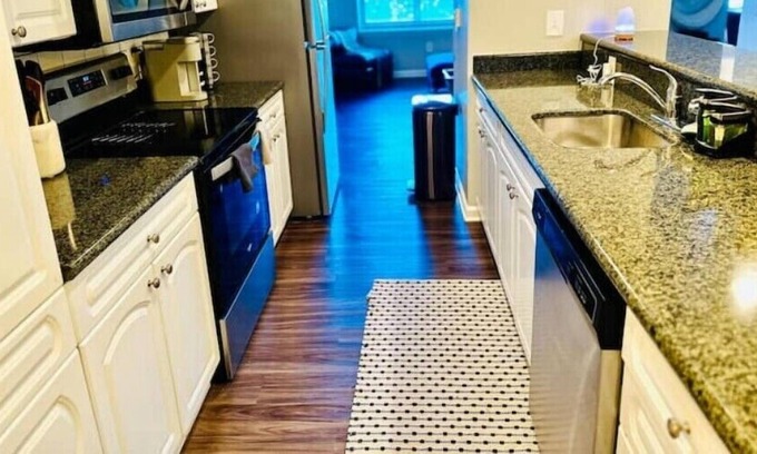 Cherry Hill Appartement | Comfortable light filled staynn