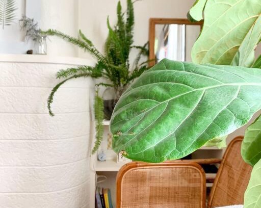 Petersham Appartement | Comfortable Studio Gem in the heart of Petersham