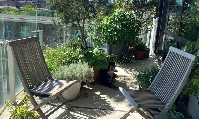 Bos en Lommer Appartement | Comfortable & stylish family apartment in Amsterdam West. Pet friendly!