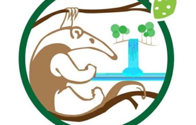 Drake Bay Cabine | Complejo Ecoturistico Tamandua