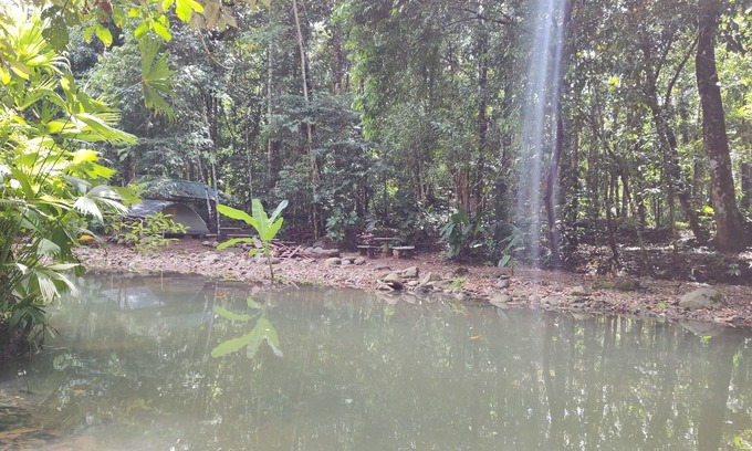 Ballena Hôtel | Cool Waters Jungle Camping