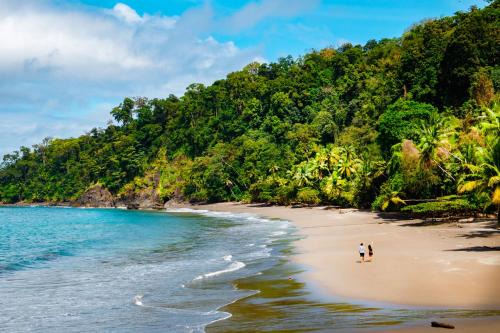 Jaco Hôtel | Corcovado Wilderness Lodge by SCP