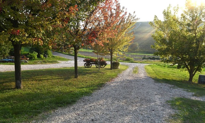 Castiglione Tinella Autre | Corner of Paradise among the vineyards