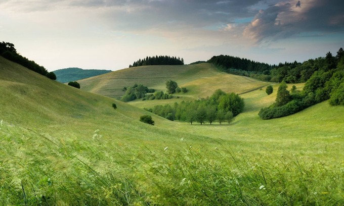 Clark Maison | Corporate Traveler's, Families or Groups!