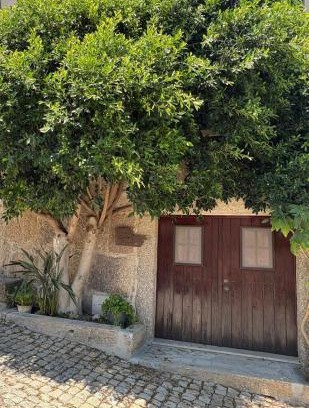 Zebras Maison | Corte Grande