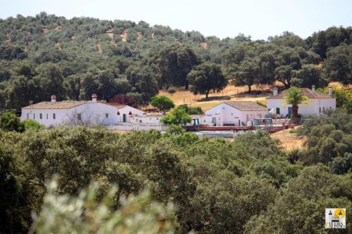 Alanis Maison | Cortijo Huerta Galindo