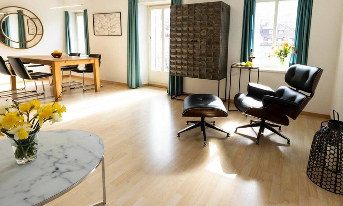 Nussbaumen Appartement | Bel appartement pour 4 personnes avec WIFI, TV, balcon et animaux admis