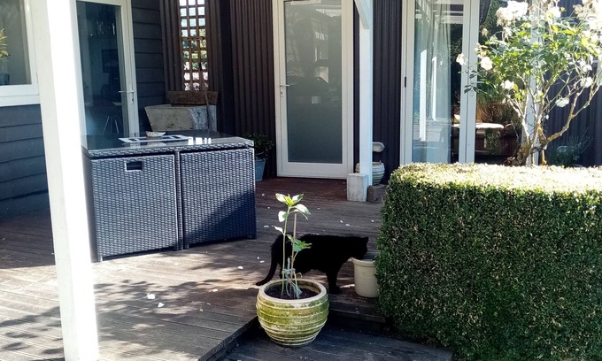 Tahakopa Cabine | Cosy, Comfortable, Rustic Cabin In The Absolute Heart Of The Catlins