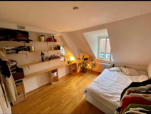 Sihlfeld Maison | Cosy room in attic flat in the center of Zurich