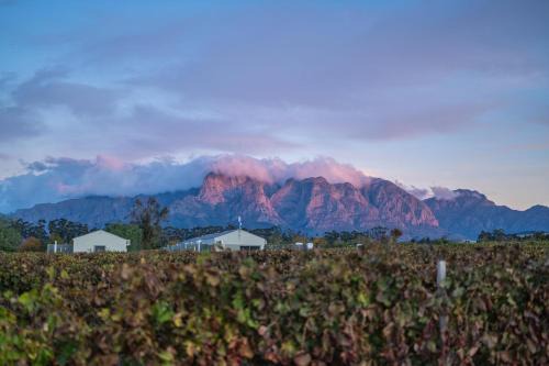 Simondium Chalet De Ski | Cottage 5 - Leo Sky Farm