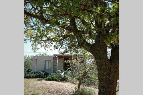 Kea Maison | Cottage amidst vines and Oak Trees