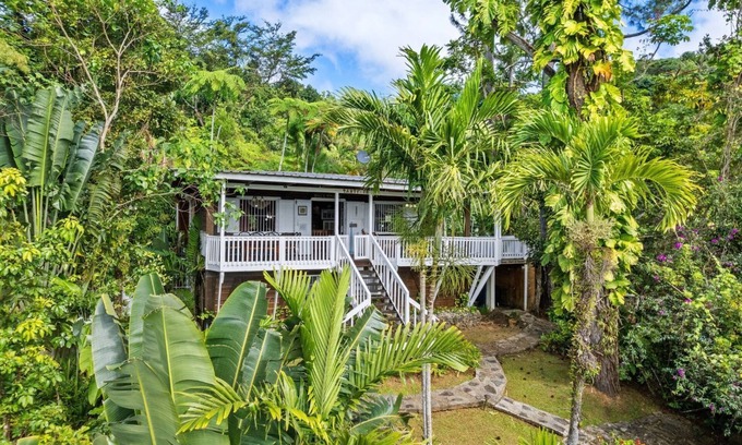 Canovanas Cottage | Cottage in a 5 acre property w. a creek in the Rain Forest all for yourself!