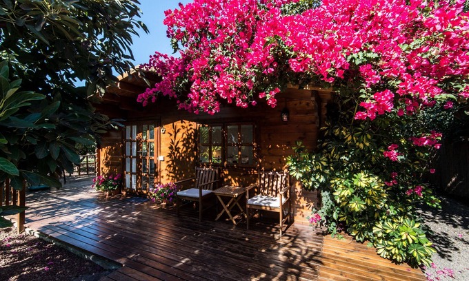La Orotava Cottage | 2 chalets neufs dans une plantation d'avocat près de la plage de Bollullo et de Puerto Cruz