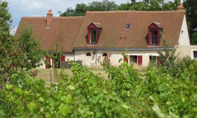 Vernou-sur-Brenne Maison | Cottage au coeur d'un vignoble avec piscine privative en saison