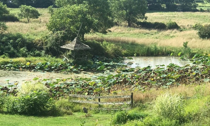 Saugerties Autre | Cottage totally upgraded on 53 acre historic farm
