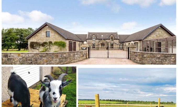 Shotts Maison | Cottage with Panoramic Views