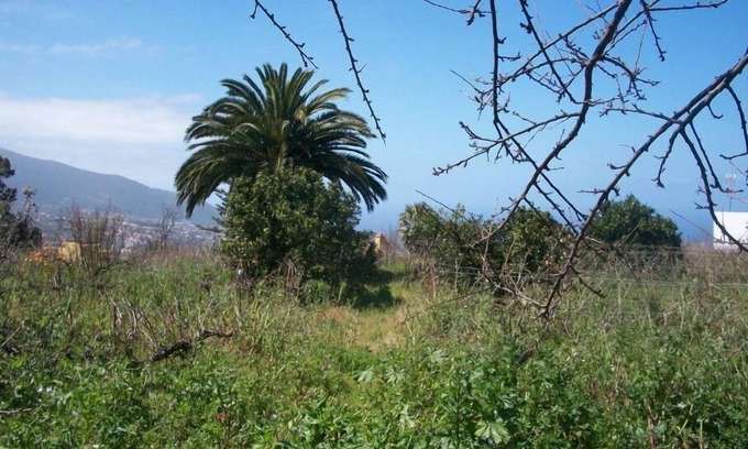 Montijos Maison | La Casita à La Orotava