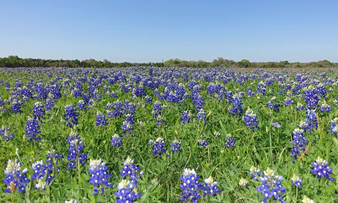 Round Top Appartement | Country Comfort Apartment 8 miles from Round Top