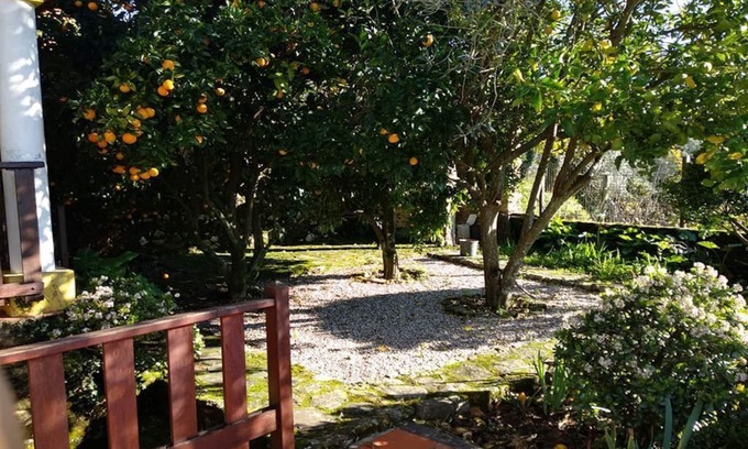 Sever do Vouga Maison | Country House in an Idyllic Location