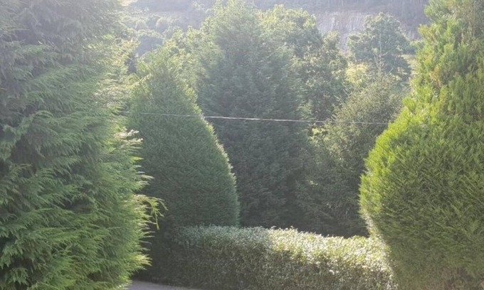 Hijas Cottage | COUNTRY HOUSE LAS ROZAS