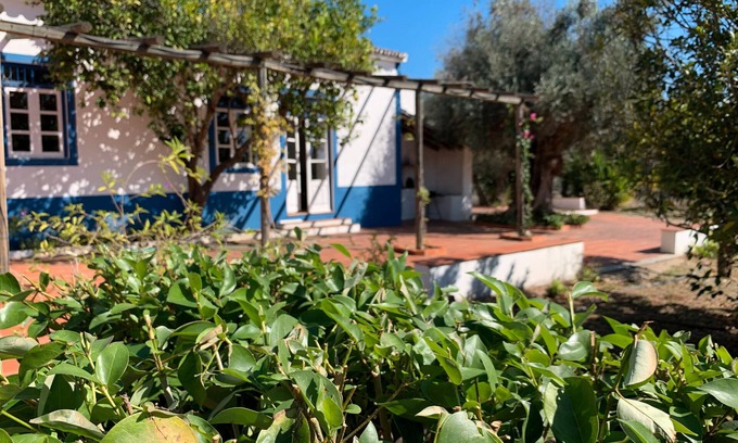 Alvito Maison | Maison de campagne "Quinta do Céu - Refuge in Alentejo", un cadre idyllique