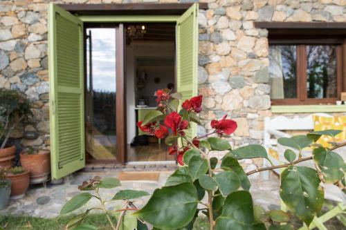 Agia Appartement | Country House Spitaki Γραφείο