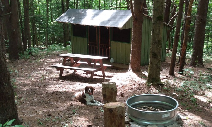 Dryden Cabine | Chalet rustique dans un magnifique terrain de camping naturel adjacent aux sentiers de la forêt domaniale