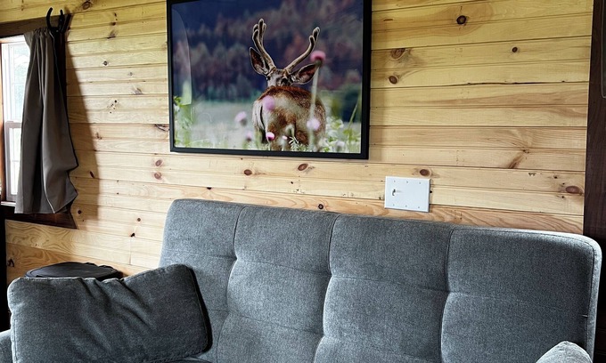 Barton County Cabine | Cozy 1-bedroom cabin in charming Lamar MO with AC