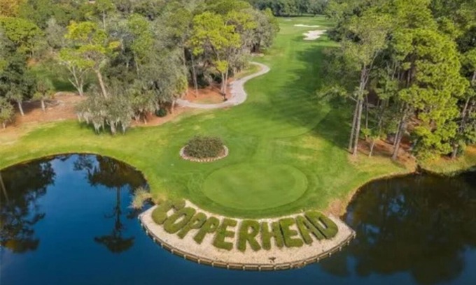 Palm Harbor Copropriété | Cozy 1-bedroom condo in the heart of Innisbrook prestigious Golf Course’s
