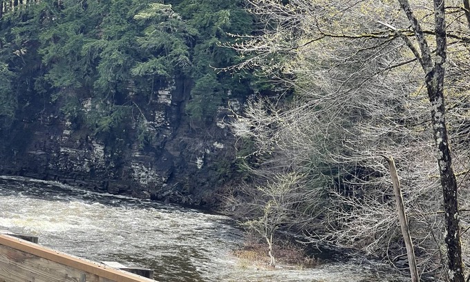 Lewis County Cabine | Cozy 2 bedroom cabin on the snowmobile trails