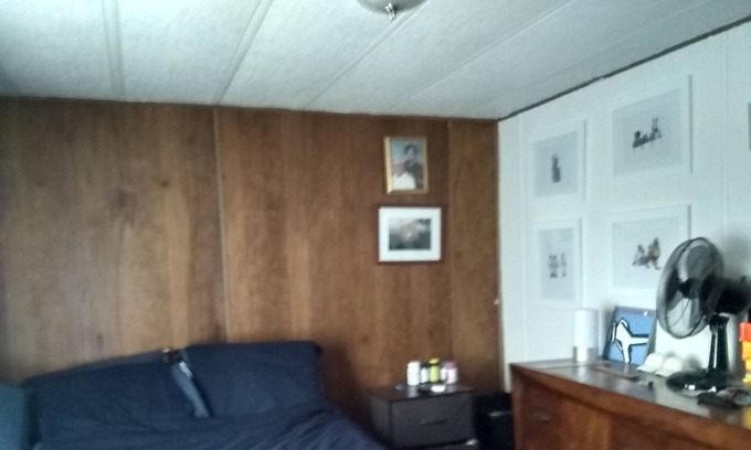Cairo Maison | Cozy and Centrally located in Cairo NY