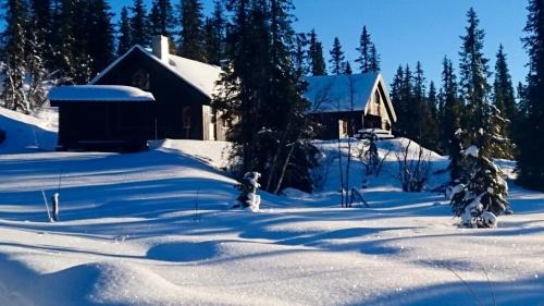 Nord-Torpa Maison | Cozy And Modern Mountain Cabin In Synnfjellet