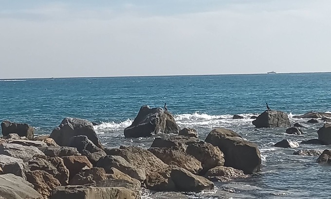 Vallecrosia Appartement | Cozy and quiet lodging in the center two minutes from the Ligurian Sea.