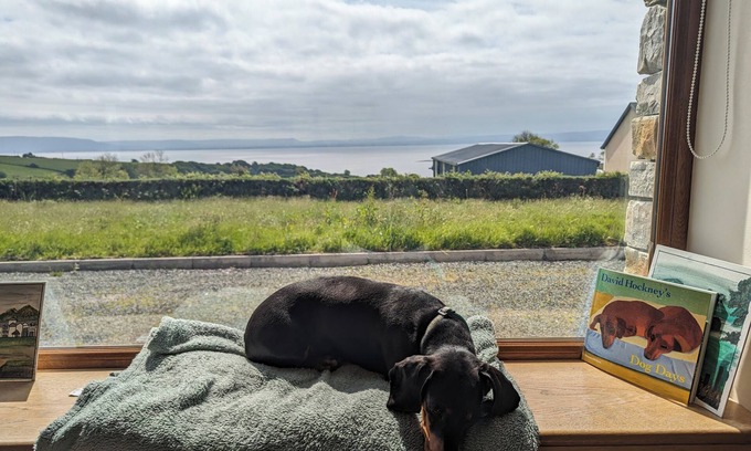 Inishowen Maison | Cozy and Social Getaway for Couples, Solo Travelers, and Remote Workers