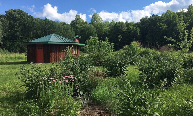 Newfield Cottage | Retraite confortable et artistique entourée de cascades, de vergers et de jardins