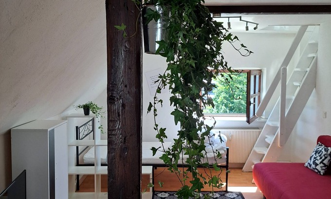 Saal an der Donau Appartement | Cozy attic apartment