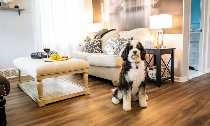 Dearborn Maison | Dearborn-Detroit. Comfort-Convenience. 12 Miles Downtown Detroit. Dog Friendly