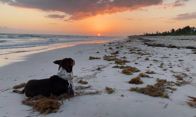 El Cuyo Cabine | Cozy cabaña located only 5 minutes walking from the beautiful beach of El Cuyo