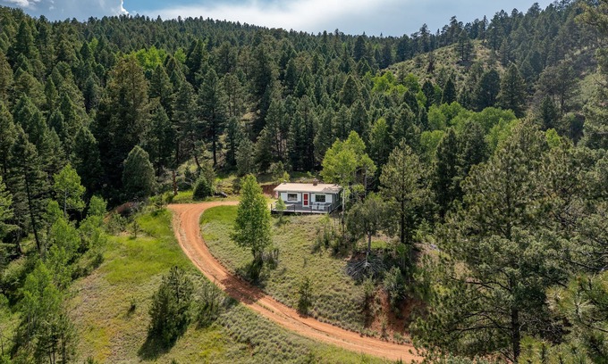 Woodland Park Cabine | Cozy cabin in Pike National Forest