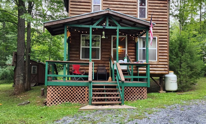 Howard Cabine | Cozy Cabin Nestled at the base of the Bald Eagle Mtn.