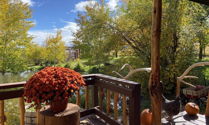 Broadwater County Cabine | Cozy cabin nestled beside a spring-fed pond&hobby farm in the Elkhorn Mountains