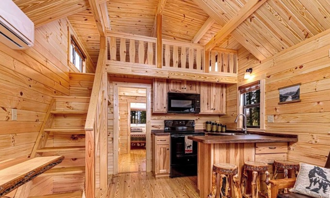 Hector Cabine | Cozy Cabin on Seneca Wine Trail Vineyard View 3