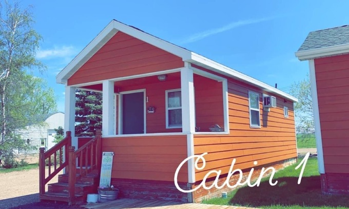 Napoleon Cabine | Cozy cabin. Sleeps 5-7. Includes a kitchenette, Wi-Fi and an outdoor area!
