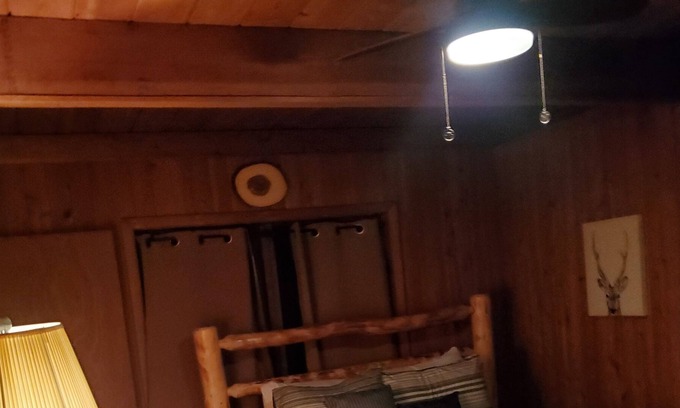 Woodland Drives Cabine | Cozy Cabin Surrounded by Nature