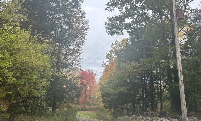 Perrysburg Cabine | Cozy cabin tucked away in the woods. pets and kid welcomed