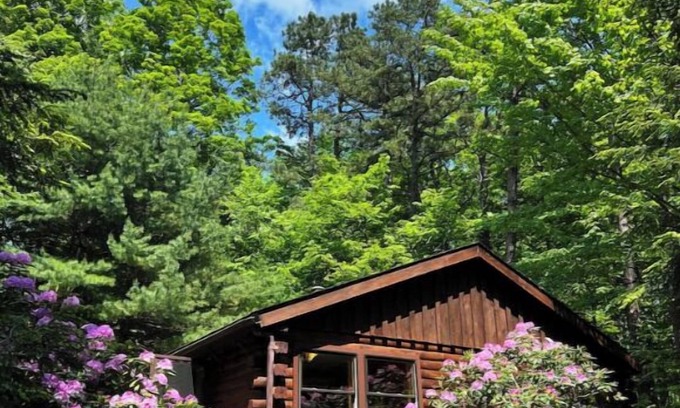 New Paltz Cabine | Cozy cabin with Mohonk Preserve access, wifi, AC, and adjacent studio building
