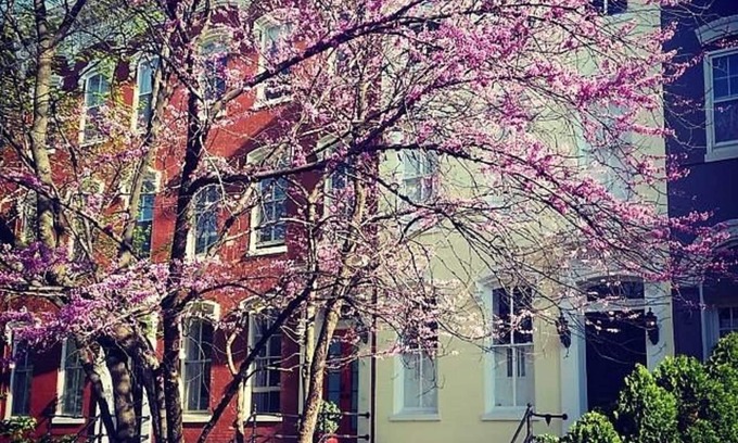 Capitol Hill Appartement | Confortable appartement Capitol Hill Garden, derrière le Capitole