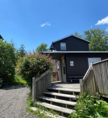 Carbondale Maison | Cozy Cottage - Sunrise and Lake Views - Shared Dock - Community Beach
