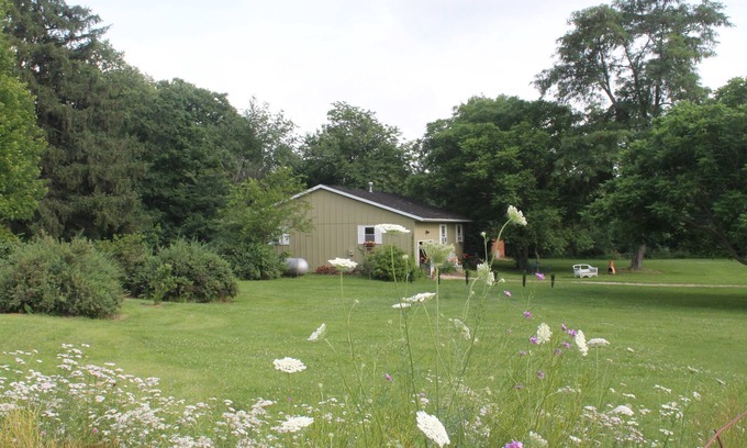 Washington Cottage | Cozy Gîte